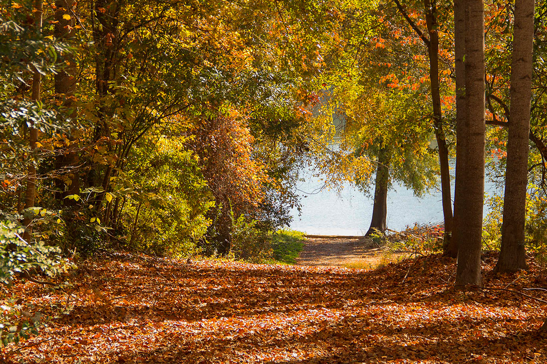 river oaks on lake wylie