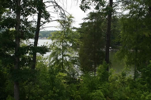 Windswept Cove on Lake Wyllie SC waterfront Lake Wylie real estate for sale